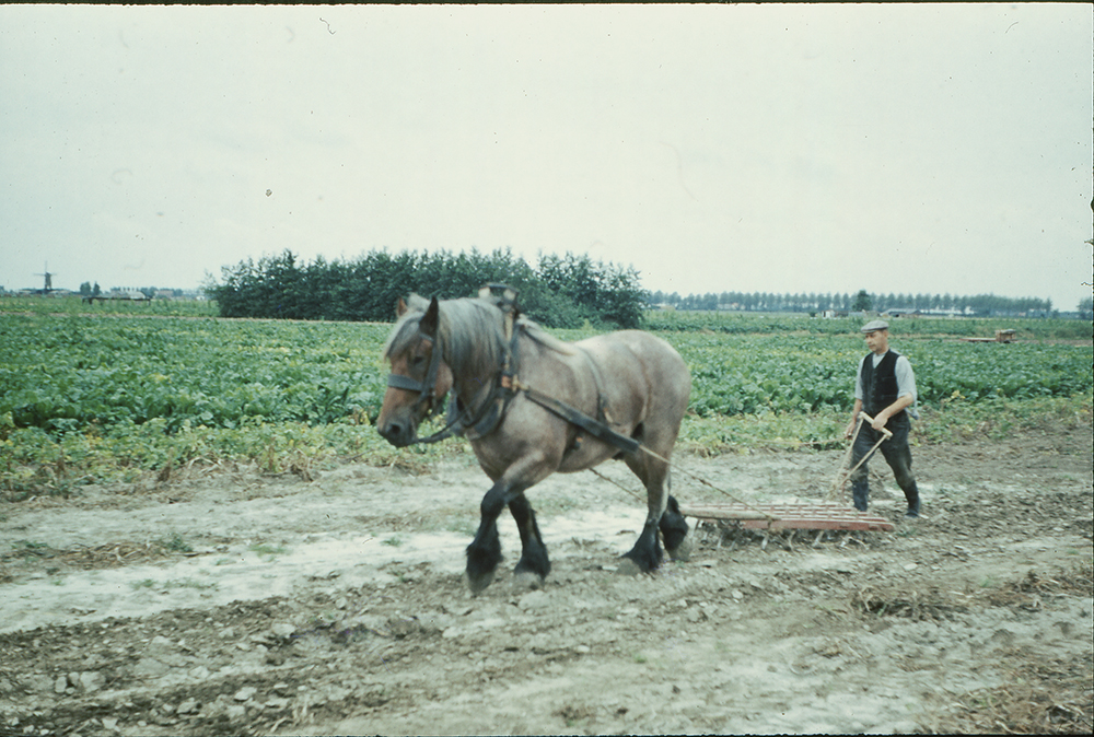 Max-aan-het-werk-molen-daco